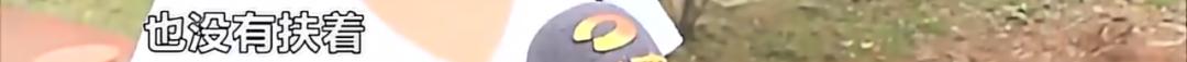 DƬ